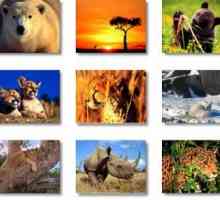 4 अक्टूबर विश्व पशु दिवस