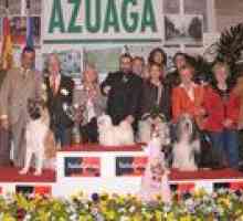 Azuaga। दक्षिणी ग्रामीण इलाकों की कैनिन राष्ट्रीय प्रदर्शनी