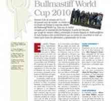 बुलमास्टिफ़ विश्व कप