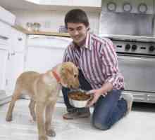 वयस्क कुत्तों के लिए भोजन बनाम पिल्ले के लिए भोजन