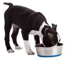 कुत्ते के खाद्य पदार्थों में फेरस सल्फेट क्या है?