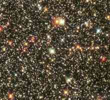 सितार कैसे हैं और कितने हैं