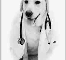 डॉक्टर कुत्ते, क्या मुझे कैंसर है?