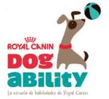 कुत्ते की क्षमता: नया शाही कैनिन प्रतियोगिता