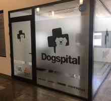 डॉगस्पिटल: आखिरकार स्पेन में एक अस्पताल कुत्तों को अपने अस्पताल में रहने वाले इंसानों की यात्रा…