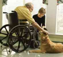 अल्जाइमर के रोगियों के लिए कुत्ते के रूप में कुत्ता
