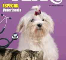 मालिकों के लिए कुत्ते और बिल्ली के खाने के पशु चिकित्सा के लिए विशेष पशु चिकित्सा अभ्यास गाइड