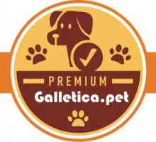Galletica.pet कुकीज़ समृद्ध, स्वस्थ और स्वस्थ