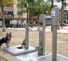 स्पेन में कुत्तों के लिए पहले सार्वजनिक स्नान का उद्घाटन