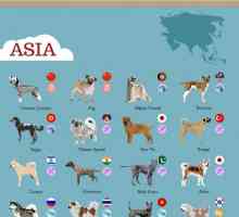 इन्फोग्राफिक्स: 80 देशों से 80 कुत्ते नस्लों