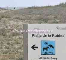 रूबिना कुत्तों के लिए उपयुक्त समुद्र तट है