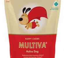 Multiva® सक्रिय कुत्ता लॉन्च करें