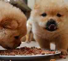 जापान ने माइक्रोवेव के लिए पहला कुत्ता खाना शुरू किया