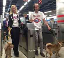 कुत्ते मैड्रिड के मेट्रो नेटवर्क में स्वतंत्र रूप से और नि: शुल्क यात्रा कर सकते हैं