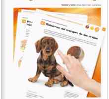 पालतू जानवरों के मालिक को जानकारी के नए एटलस: "त्वचाविज्ञान में निदान"