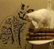 पत्थर से कदम, बिल्ली के बच्चे टेम्पलेट्स के साथ दीवार पेंट