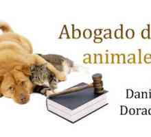 एक पशु वकील की पहली स्पेनिश वेबसाइट