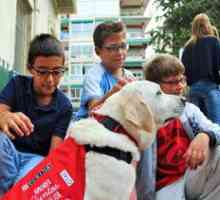 Purina® और सीटीएसी कुत्तों स्कूल lleii xiii डी बार्सिलोना के बच्चों का स्वागत करते हैं