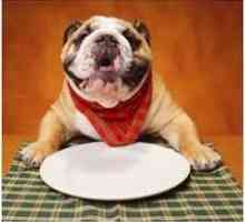 कुत्ते के भोजन व्यंजनों