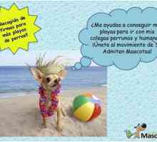 स्पेन में कुत्तों के लिए अधिक समुद्र तटों के लिए हस्ताक्षर संग्रह