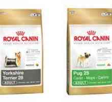रॉयल कैनिन ने योरशायर टेरियर को 3 किलोग्राम में लॉन्च किया और नया उत्पाद "कार्लिनो"