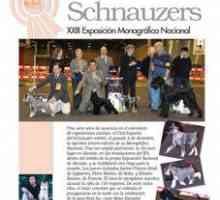 Schnauzers.- xxiii राष्ट्रीय मोनोग्राफिक प्रदर्शनी