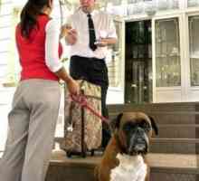पालतू जानवरों को होटल में समायोजित किया जा सकता है