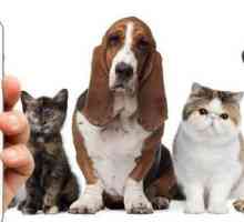 वैप डायरी आपके पालतू जानवर की सभी देखभाल का प्रबंधन करने के लिए एक पूर्ण आवेदन है