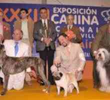एक्सवी राष्ट्रीय प्रदर्शनी और xxxiii अंतरराष्ट्रीय कुत्ते शो