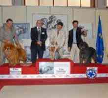 Xxvii राष्ट्रीय प्रदर्शनी और xxiv अंतरराष्ट्रीय कुत्ते शो