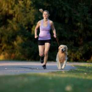 अपने कुत्ते के साथ दौड़ने के 5 कारण
