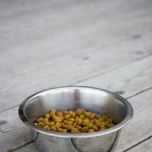 वयस्क कुत्ते के भोजन के लिए एक लैब्राडोर रेट्रिवर पिल्ला से खाना बदलना