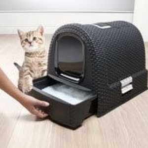 कर्व पशुपालन द्वारा बिल्ली सौंदर्य बॉक्स: हमारी बिल्लियों की स्वच्छता के लिए सबसे अच्छा समाधान