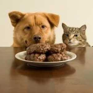 अपने वजन के अनुसार कुत्तों और बिल्लियों के आहार के लिए प्राकृतिक घटक