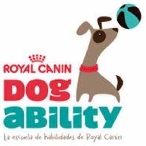 कुत्ते की क्षमता: नया शाही कैनिन प्रतियोगिता