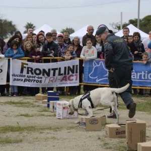 Frontline tri act patrocina el dog day