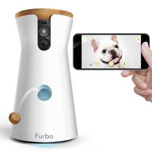 फर्बो: उन कुत्तों के लिए बुद्धिमान कैमरा जो उनके साथ बातचीत करते हैं