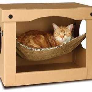 बिल्लियों के लिए हथौड़ा, बनाने के लिए एक बहुत ही आसान बिस्तर