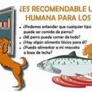 क्या कुत्ते के लिए मानव भोजन सलाह दी जाती है?
