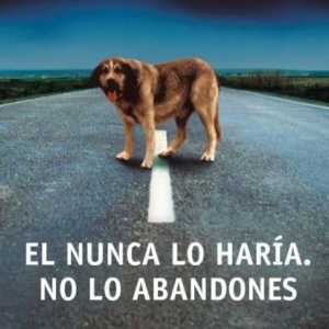 स्पेन में स्वायत्त समुदाय द्वारा पशु त्याग के लिए जुर्माना