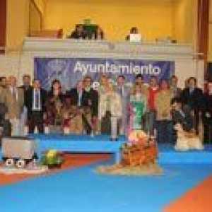 Oviedo। Xxix और xxx canine अस्टुरियस की राष्ट्रीय प्रदर्शनी और अस्टुरियस की xxi canine…