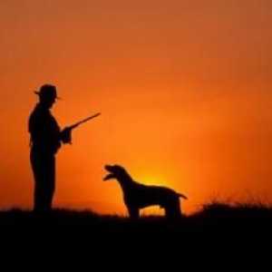 शिकार कुत्तों - कुत्तों के कुत्तों की नस्लों