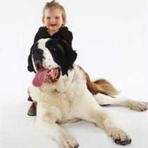 बड़े कुत्ते जो बच्चों के साथ अच्छे हैं