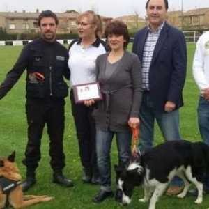 सेवानिवृत्त पुलिस कुत्ते, पहली सेवानिवृत्ति स्पेन में कभी नहीं देखी गई है