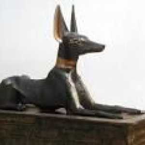 मिस्र के लोग कुत्तों और बिल्लियों की मूर्ति क्यों बनाते थे?