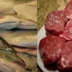 कुत्ते मछली को मांस क्यों पसंद करते हैं?