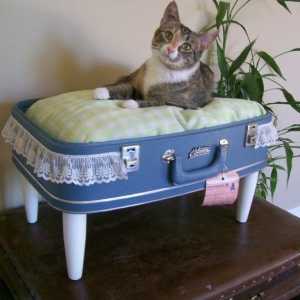 पुरानी सूटकेस के साथ बने बिल्लियों के लिए सुंदर बिस्तर