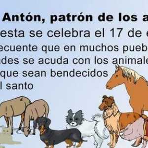 सैन एंटोन, जानवरों के संरक्षक। उनकी पार्टी 17 जनवरी को मनाई जाती है।