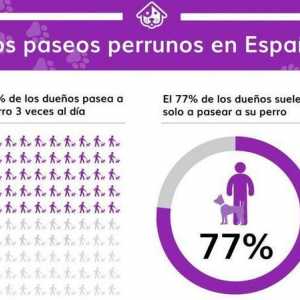 स्पेन में 21.9% घरों में एक कुत्ते का सदस्य है
