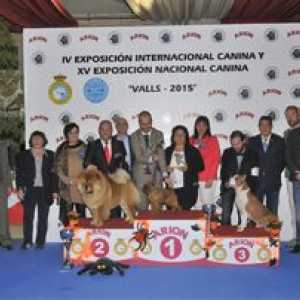 2015Iv अंतरराष्ट्रीय कुत्ते प्रदर्शनी और एक्सवी राष्ट्रीय कुत्ते प्रदर्शनी
